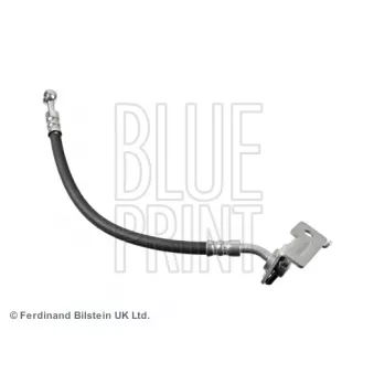 BLUE PRINT ADG053323 - Flexible de frein arrière droit