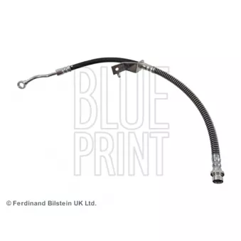 BLUE PRINT ADG053329 - Flexible de frein avant droit