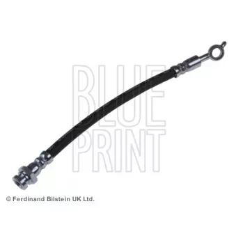 BLUE PRINT ADG05349 - Flexible de frein