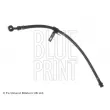 BLUE PRINT ADG05361 - Flexible de frein avant gauche