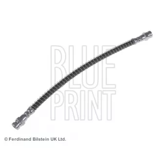 BLUE PRINT ADG05393 - Flexible de frein