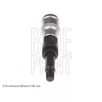 Roue Libre D'alternateur De Remplacement Frankberg 98VW10300BA - Compatible Nombreuses Références VW/Audi
