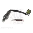 BLUE PRINT ADG07027 - Sonde lambda