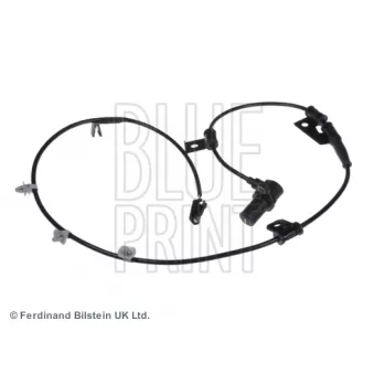 Capteur, vitesse de roue avant droit BLUE PRINT OEM 956702D150