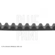 BLUE PRINT ADG07533 - Courroie crantée
