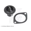 BLUE PRINT ADG09205 - Thermostat d'eau