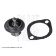 BLUE PRINT ADG09222 - Thermostat d'eau
