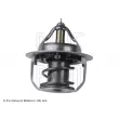 BLUE PRINT ADG09222 - Thermostat d'eau
