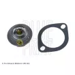 BLUE PRINT ADG09226 - Thermostat d'eau