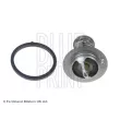 BLUE PRINT ADG09229 - Thermostat d'eau
