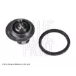 BLUE PRINT ADG09234 - Thermostat d'eau