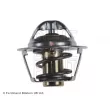 BLUE PRINT ADG09234 - Thermostat d'eau