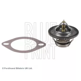 BLUE PRINT ADG09246 - Thermostat d'eau