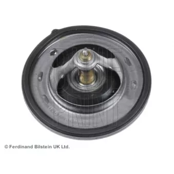Thermostat d'eau BLUE PRINT OEM 255002A050