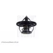 BLUE PRINT ADG09250 - Thermostat d'eau