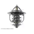 BLUE PRINT ADG09251 - Thermostat d'eau