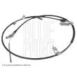 BLUE PRINT ADH246160 - Tirette à câble, frein de stationnement arrière droit