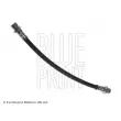 BLUE PRINT ADH253116 - Flexible de frein