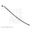 BLUE PRINT ADH253135 - Flexible de frein avant gauche