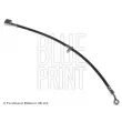 Flexible de frein avant droit BLUE PRINT [ADH253194]