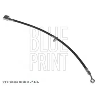 Flexible de frein avant droit BLUE PRINT OEM 01464smge00