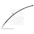 BLUE PRINT ADH253202 - Flexible de frein avant gauche