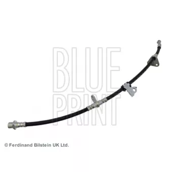 BLUE PRINT ADH25322 - Flexible de frein