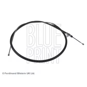 BLUE PRINT ADJ134605 - Tirette à câble, frein de stationnement arrière droit
