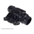 BLUE PRINT ADJ139208 - Thermostat d'eau