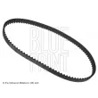 BLUE PRINT ADK87503 - Courroie crantée