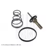 BLUE PRINT ADK89214 - Thermostat d'eau