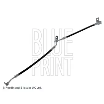 BLUE PRINT ADM553105 - Flexible de frein avant droit