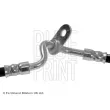BLUE PRINT ADM553105 - Flexible de frein avant droit