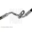 BLUE PRINT ADM553106 - Flexible de frein avant gauche