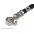 BLUE PRINT ADM553108C - Flexible de frein