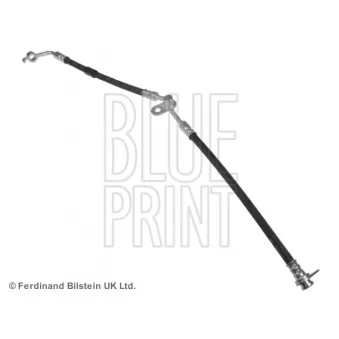 Flexible de frein BLUE PRINT ADM553117C