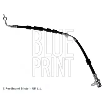 BLUE PRINT ADM553125 - Flexible de frein avant droit