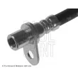 BLUE PRINT ADM553128 - Flexible de frein avant droit