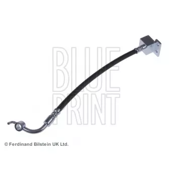 BLUE PRINT ADM55346 - Flexible de frein