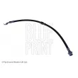 BLUE PRINT ADM55368 - Flexible de frein