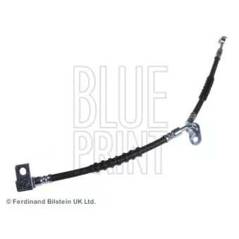 BLUE PRINT ADM55379 - Flexible de frein avant gauche