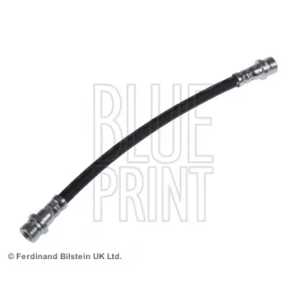 Flexible de frein BLUE PRINT OEM EC014381XD