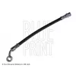 BLUE PRINT ADM55383 - Flexible de frein