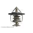 BLUE PRINT ADM59208 - Thermostat d'eau