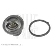 BLUE PRINT ADM59216 - Thermostat d'eau
