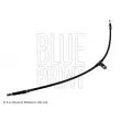 BLUE PRINT ADN146333 - Tirette à câble, frein de stationnement arrière gauche