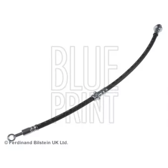 Flexible de frein BLUE PRINT OEM 462100M011