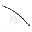 BLUE PRINT ADN153117 - Flexible de frein