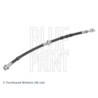 Flexible de frein BLUE PRINT OEM 462102F002