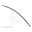 BLUE PRINT ADN153139 - Flexible de frein